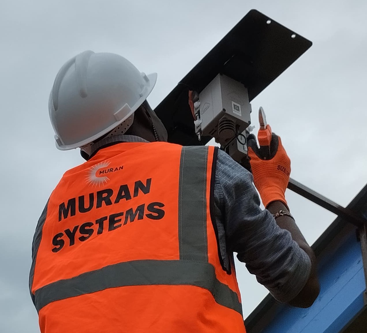 Muran Systems Field Director
